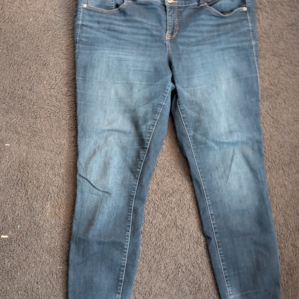 Torrid Skinny Jeans in Classic Blue